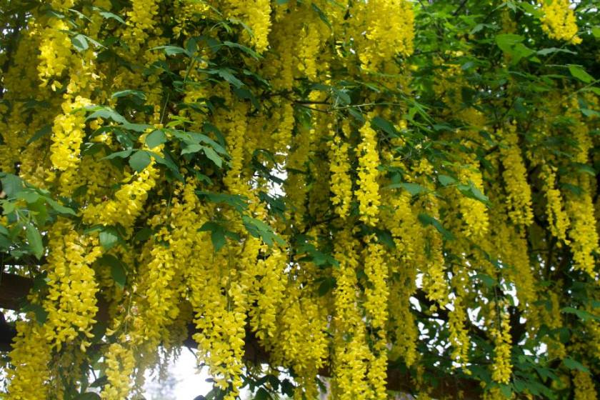 401079_10151480965175892_1089876095_n