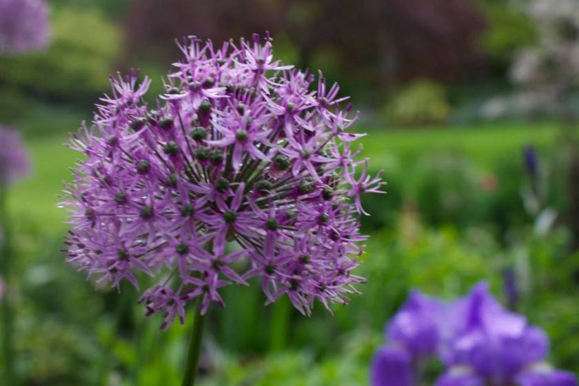 960195_10151480962625892_1945064023_n