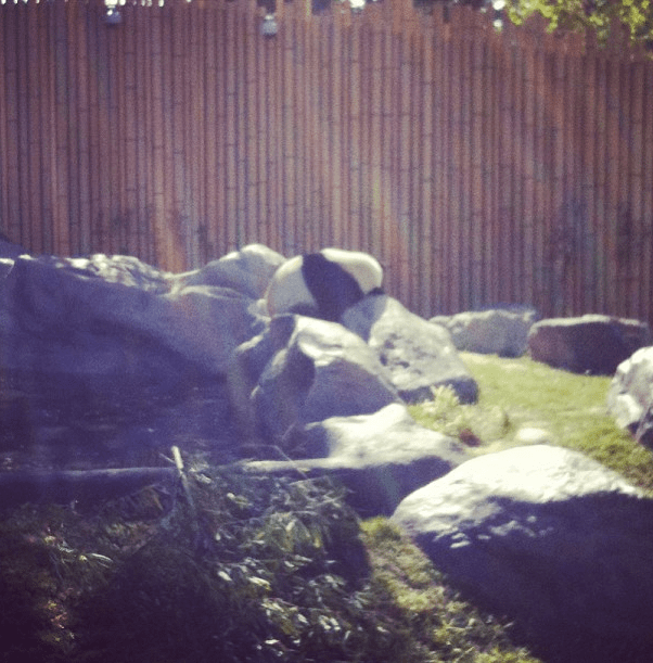 Screen Shot 2013-05-28 at 5.51.49 PM