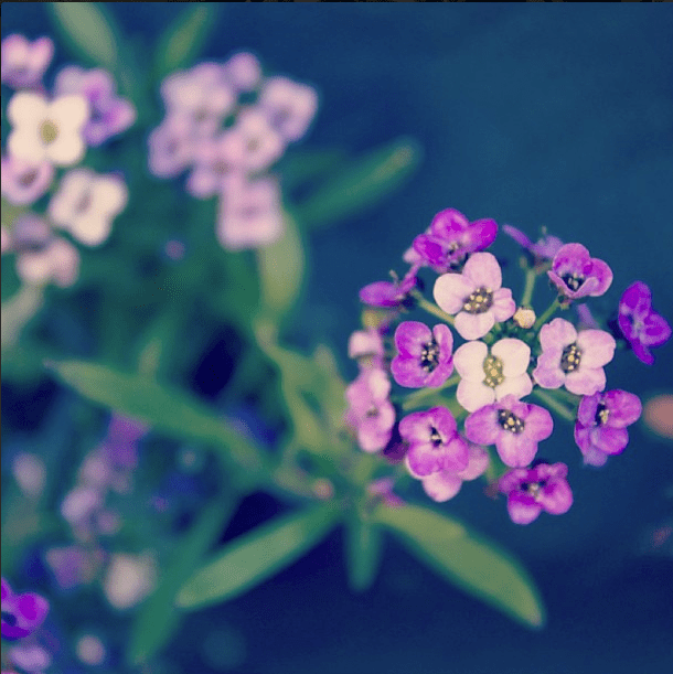 Screen Shot 2013-06-09 at 6.35.16 PM