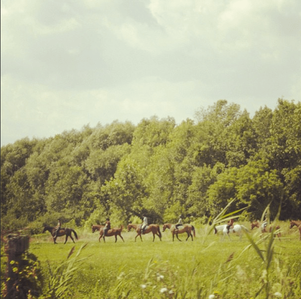 Screen Shot 2013-08-16 at 7.52.28 PM