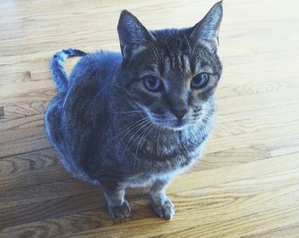 Screen Shot 2014-02-22 at 2.53.55 PM