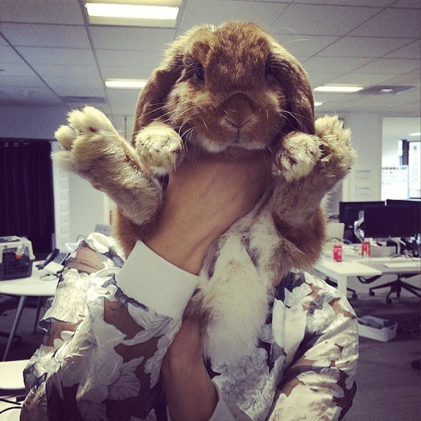 Screen Shot 2014-08-18 at 10.53.25 PM