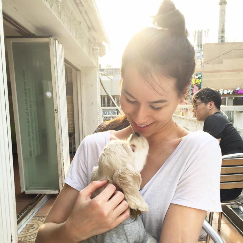 13256081_1770206176548955_4308492555803873794_n