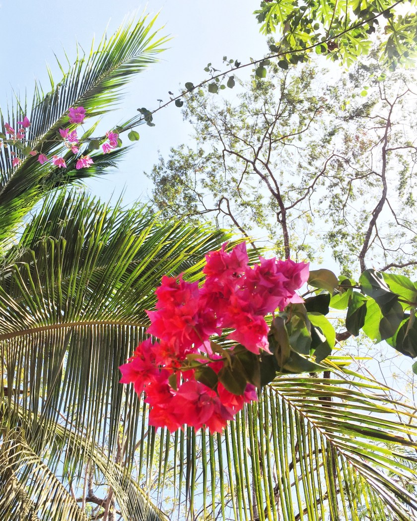 9A754553-B3E3-4DE2-9504-44FE21045B40